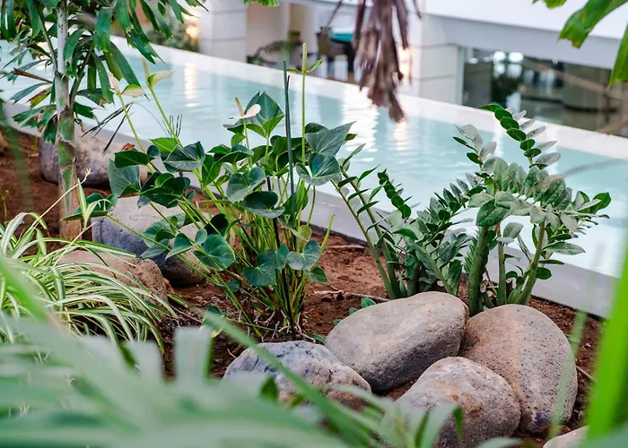 Spring Vulcano Hotel 4*