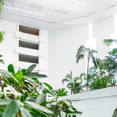 Spring Vulcano فندق