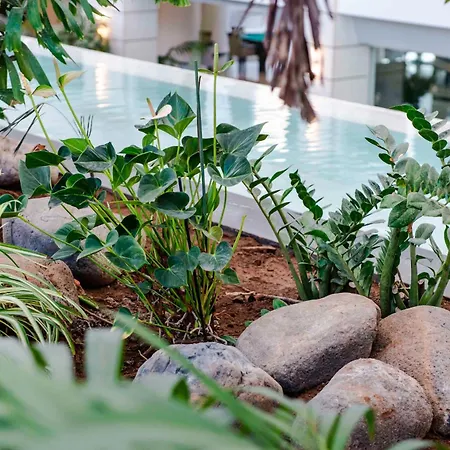 Spring Vulcano فندق 4*