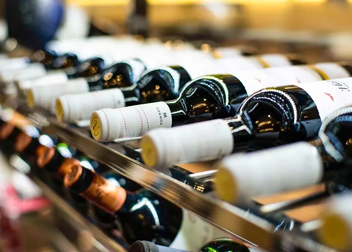 Spring Vulcano Hotel Playa de las Américas