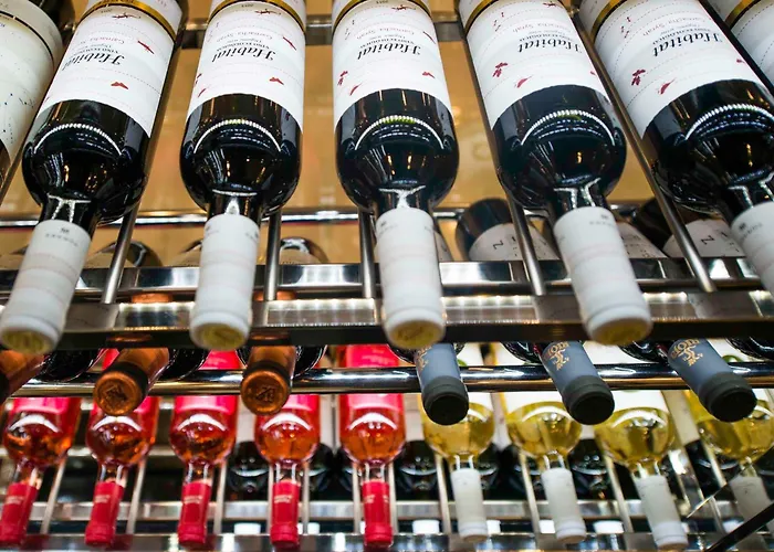 Hotell Spring Vulcano Playa de las Americas (Tenerife)